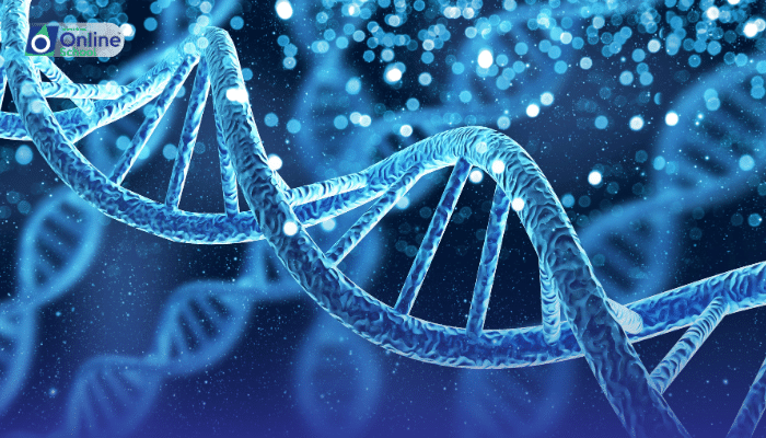 Lesson 28: Gene as a Sequence of Nucleotides as Part of DNA, Which Codes for the Formation of a Polypeptide